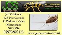 pest control in nottingham 376071 Image 0